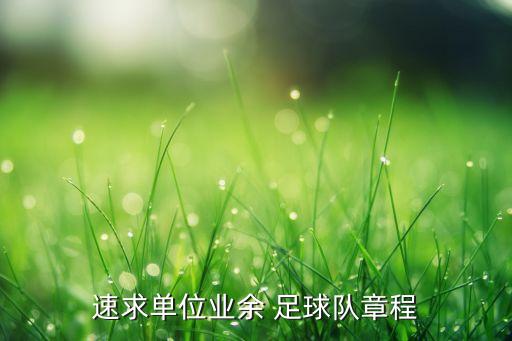 速求單位業(yè)余 足球隊章程