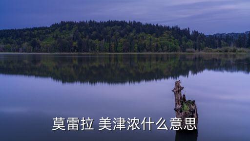 莫雷拉 美津濃什么意思