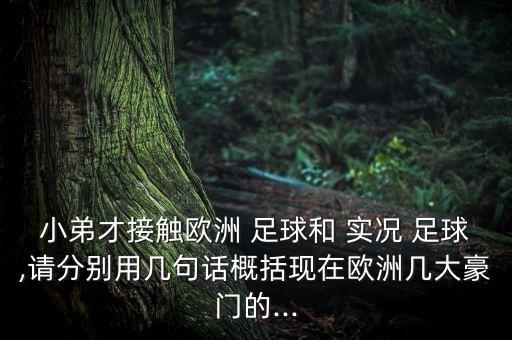 小弟才接觸歐洲 足球和 實況 足球,請分別用幾句話概括現(xiàn)在歐洲幾大豪門的...