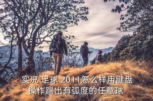 實況足球2011角球,手機實況足球怎么踢角球和任意球