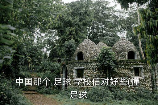 中國(guó)那個(gè) 足球 學(xué)校信對(duì)好些(懂 足球