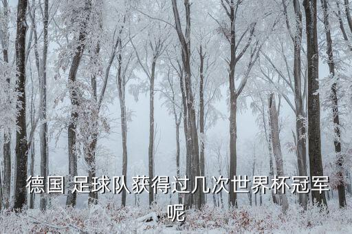 德國足球國家隊比賽安排,主角進德國國家隊的足球小說