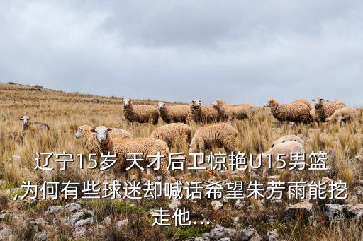 遼寧15歲 天才后衛(wèi)驚艷U15男籃,為何有些球迷卻喊話希望朱芳雨能挖走他...