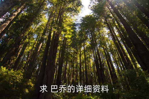 意大利足球前巨星巴喬