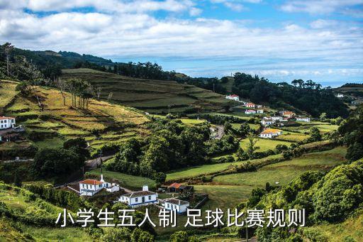 小學(xué)生五人制 足球比賽規(guī)則