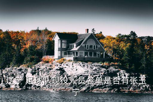遼寧 足球隊(duì)現(xiàn)役人員名單是否有張玉寧