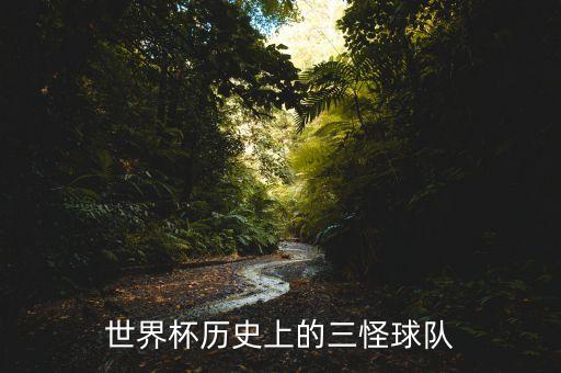 世界杯歷史上的三怪球隊(duì)