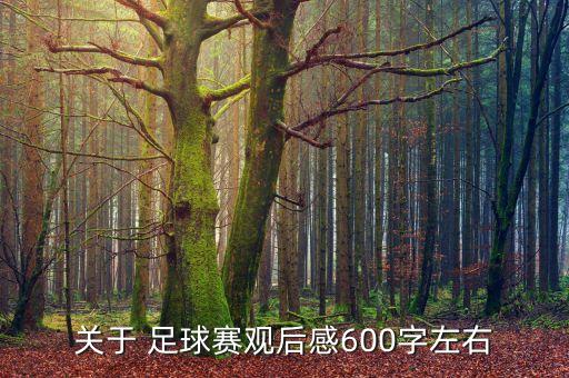 關(guān)于 足球賽觀后感600字左右