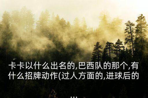 卡卡以什么出名的,巴西隊的那個,有什么招牌動作(過人方面的,進(jìn)球后的...