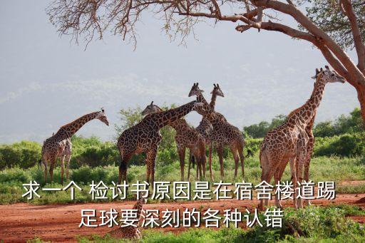 求一個 檢討書原因是在宿舍樓道踢 足球要深刻的各種認(rèn)錯