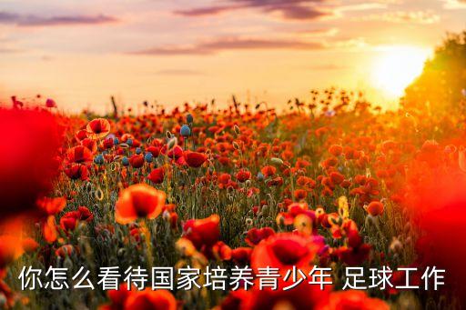 你怎么看待國家培養(yǎng)青少年 足球工作