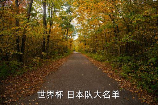 世界杯 日本隊大名單
