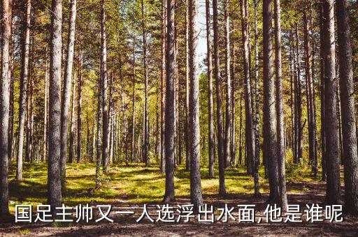 國足主帥又一人選浮出水面,他是誰呢