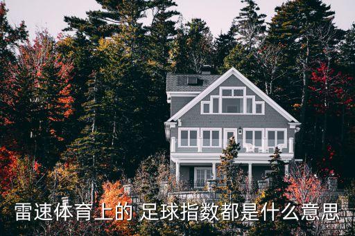 雷速體育上的 足球指數(shù)都是什么意思