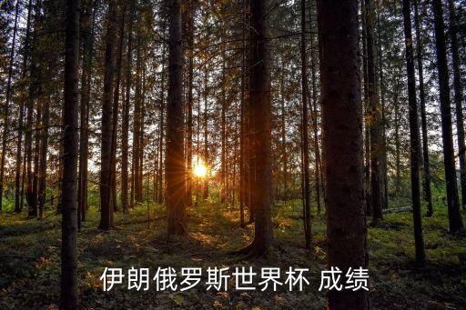 伊朗足球最好成績,哥斯達黎加足球世界杯最好成績