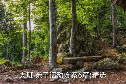大班 親子活動(dòng)方案6篇(精選