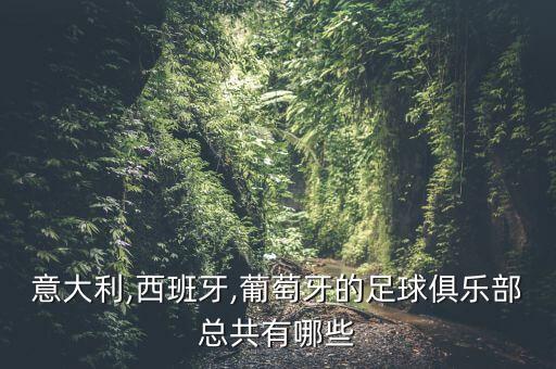 皇家工程師足球隊(duì),西班牙帶皇家的足球隊(duì)