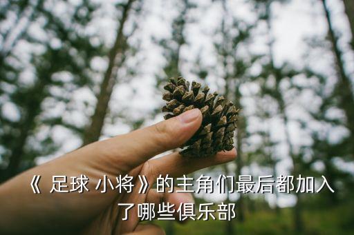 《 足球 小將》的主角們最后都加入了哪些俱樂部