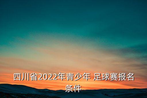 四川省2022年青少年 足球賽報名條件