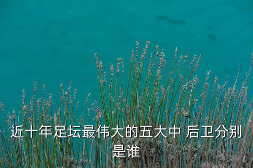 近十年足壇最偉大的五大中 后衛(wèi)分別是誰(shuí)