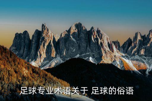 足球橫帶是什么意思,足球帽子戲法是什么意思?