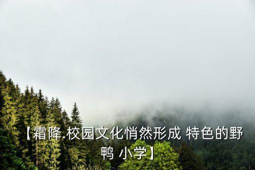 小學足球特色