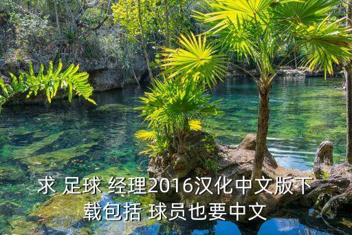 求 足球 經(jīng)理2016漢化中文版下載包括 球員也要中文