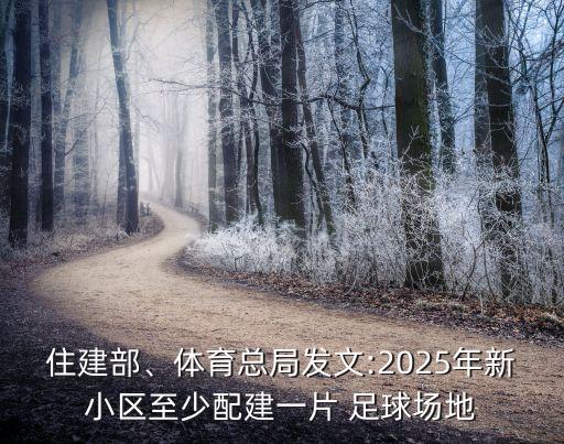 住建部、體育總局發(fā)文:2025年新小區(qū)至少配建一片 足球場地