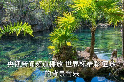 2017足球世界杯回放,足球世界杯回放哪里看