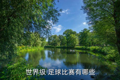 足球世界俱樂(lè)部杯,FIFA足球世界俱樂(lè)部