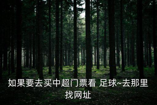 如果要去買中超門票看 足球~去那里找網(wǎng)址