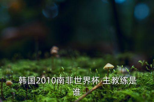  韓國(guó)2010南非世界杯 主教練是誰(shuí)