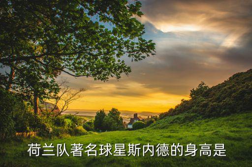 荷蘭足球巨星