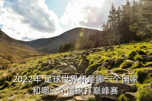 2022年 足球世界杯是哪一個國家和哪一個國家打巔峰賽