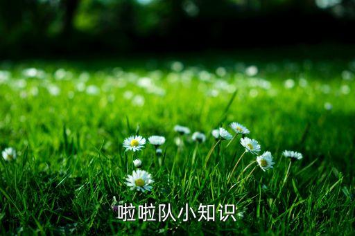 啦啦隊小知識