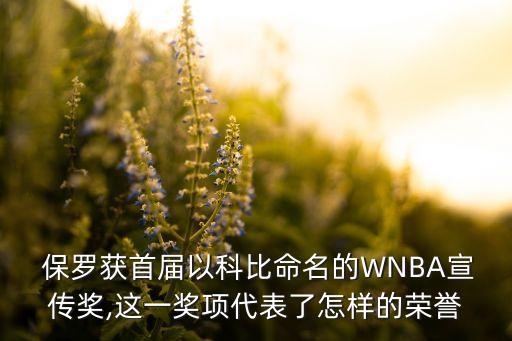  保羅獲首屆以科比命名的WNBA宣傳獎(jiǎng),這一獎(jiǎng)項(xiàng)代表了怎樣的榮譽(yù)