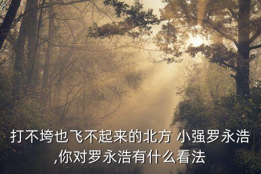 打不垮也飛不起來的北方 小強(qiáng)羅永浩,你對羅永浩有什么看法