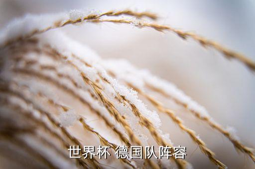 世界杯 德國隊陣容