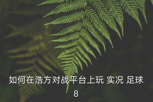 如何在浩方對(duì)戰(zhàn)平臺(tái)上玩 實(shí)況 足球8