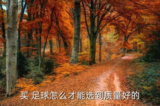 買(mǎi) 足球怎么才能選到質(zhì)量好的