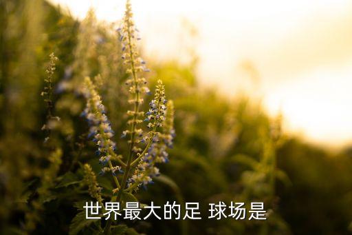 世界最大的足 球場(chǎng)是