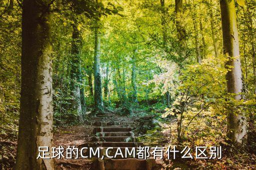  足球的CM,CAM都有什么區(qū)別