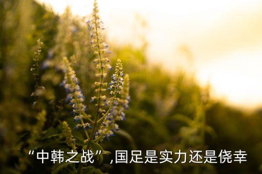 “中韓之戰(zhàn)”,國足是實(shí)力還是僥幸