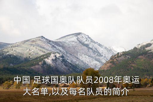 崔鵬足球個人資料,山東魯能崔鵬個人資料