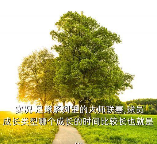 實況足球2017帕托數(shù)據(jù)