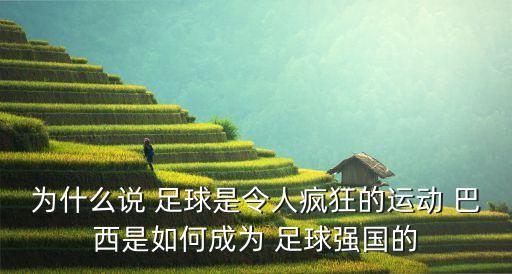 巴西??家足球?,巴西足球?yàn)槭裁茨敲磸?qiáng)