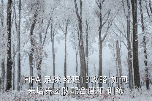 FIFA 足球 經(jīng)理13攻略:如何來(lái)培養團隊配合度和 訓練