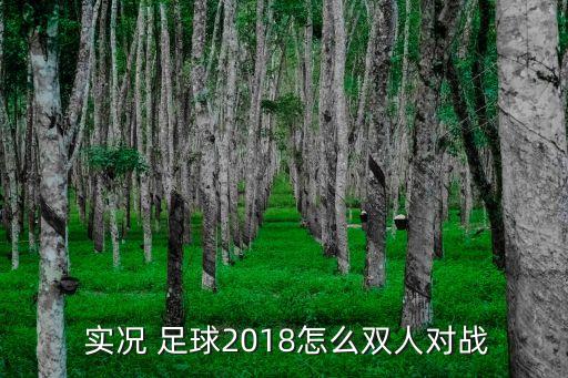 實(shí)況足球2018pc版