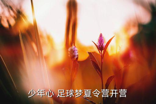 廣州恒大皇馬足球學(xué)校,恒大皇馬足球學(xué)校2022招生