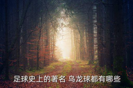  足球史上的著名 烏龍球都有哪些
